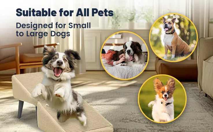🔥Best seller🐶Dog Ramp + Ottoman