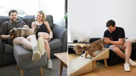 🔥Best seller🐶Dog Ramp + Ottoman